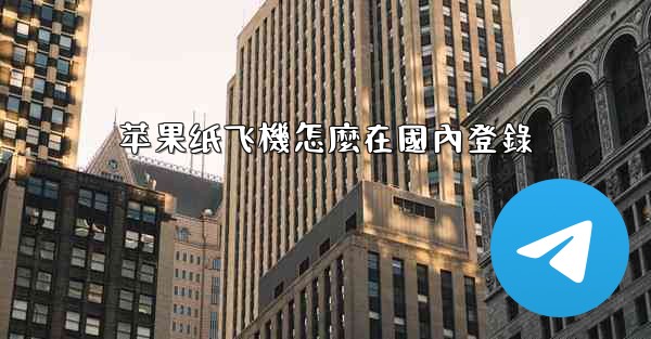 苹果纸飞機怎麼在國內登錄