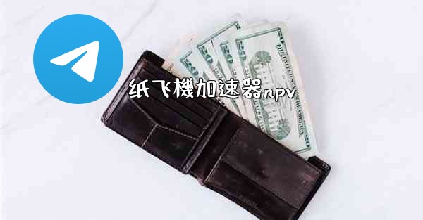 纸飞機加速器npv