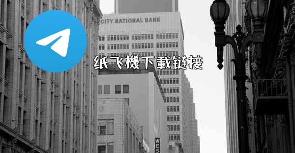 纸飞機下載链接