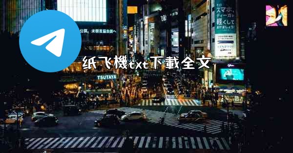 纸飞機txt下載全文