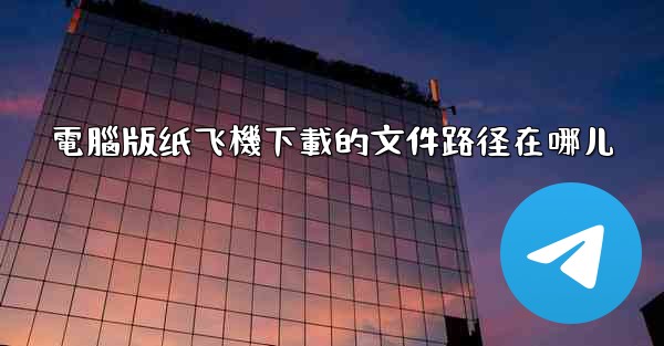 電腦版纸飞機下載的文件路径在哪儿