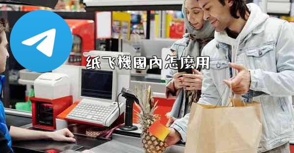 纸飞機國內怎麼用