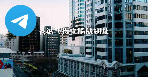 tg纸飞機電腦版網址