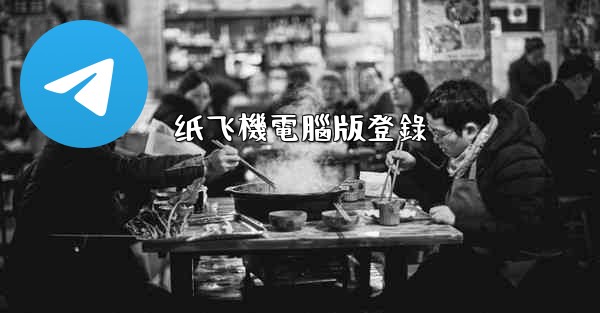 纸飞機電腦版登錄